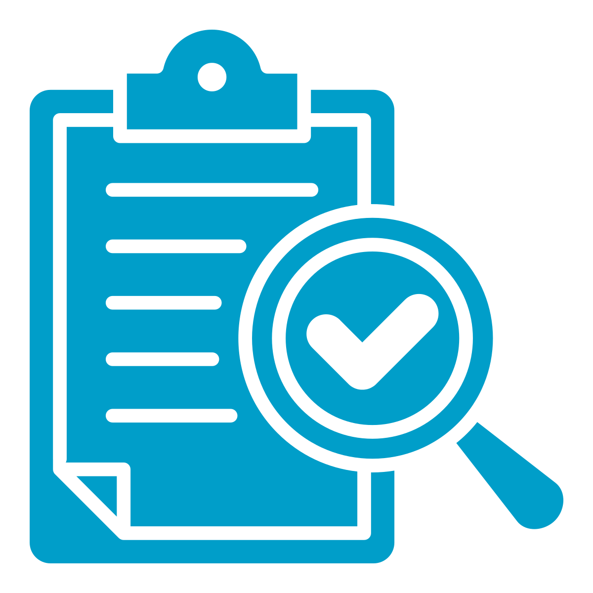 Audit icon