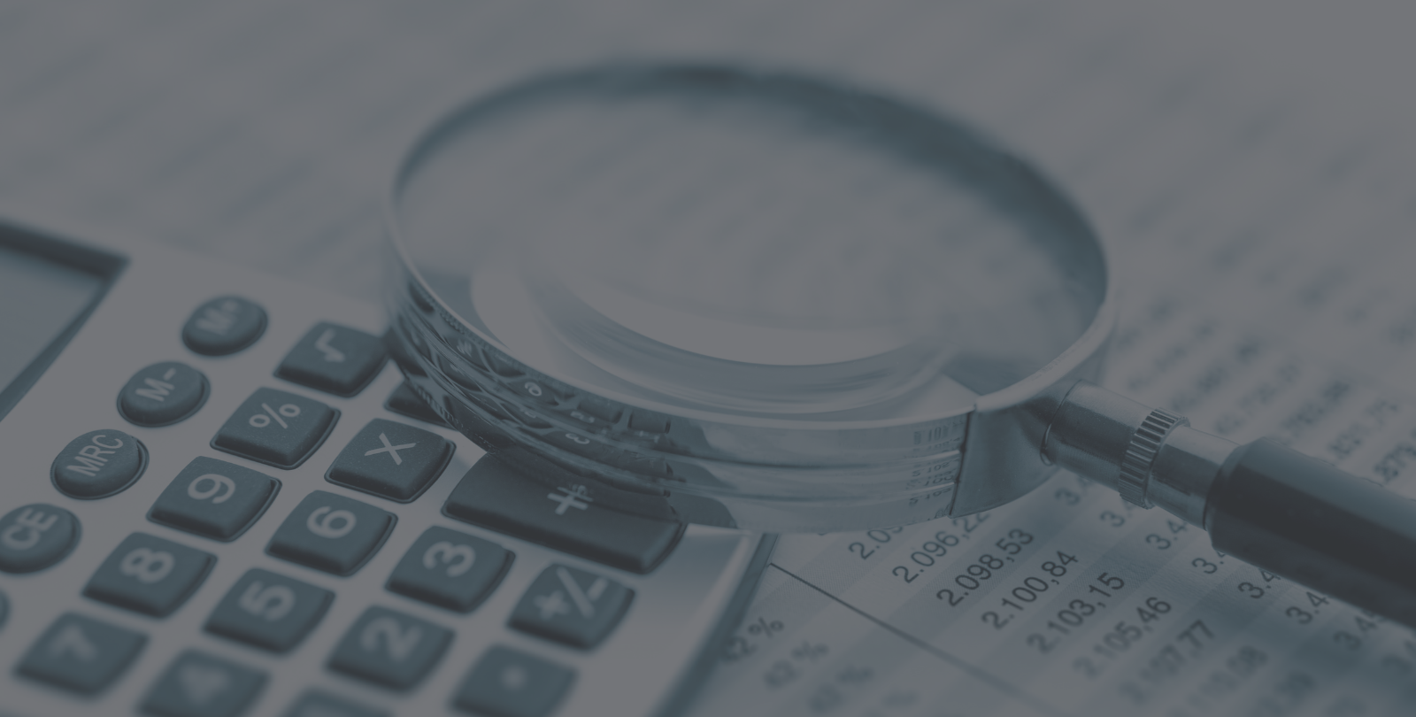 EMEA Mini Webinars - AP Recovery Audit LP