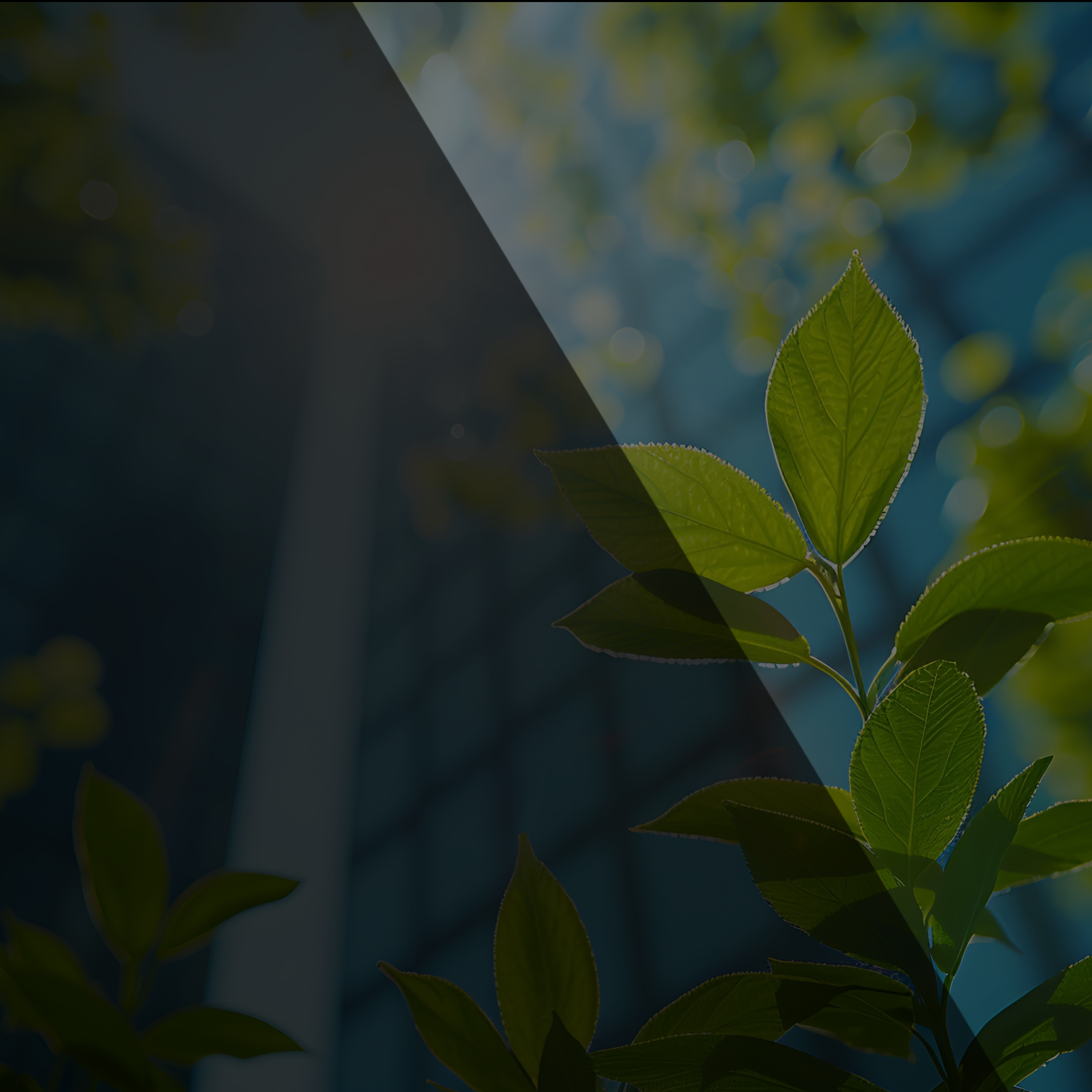 Blog-HEADER_template (30)