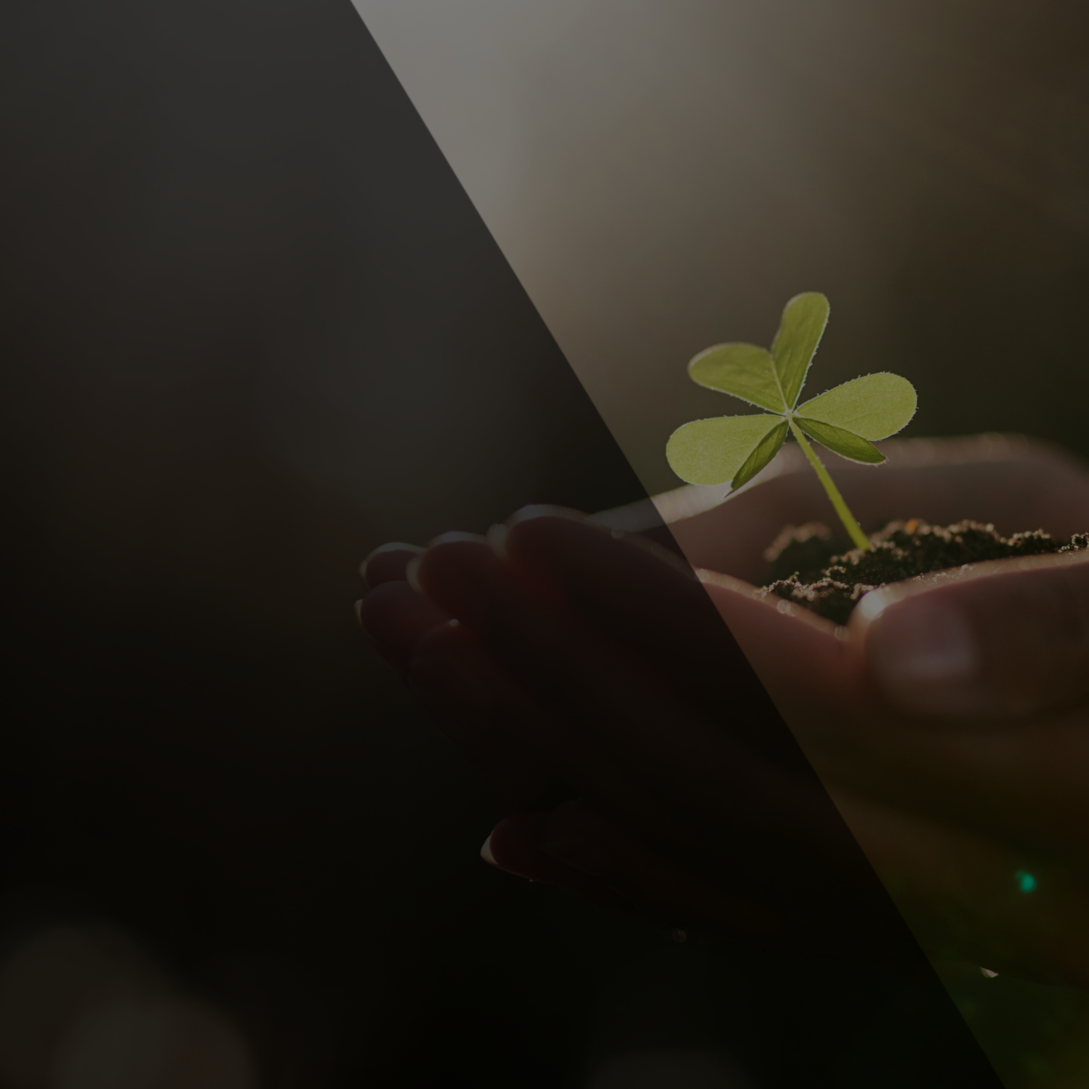 Blog-HEADER_template (84)