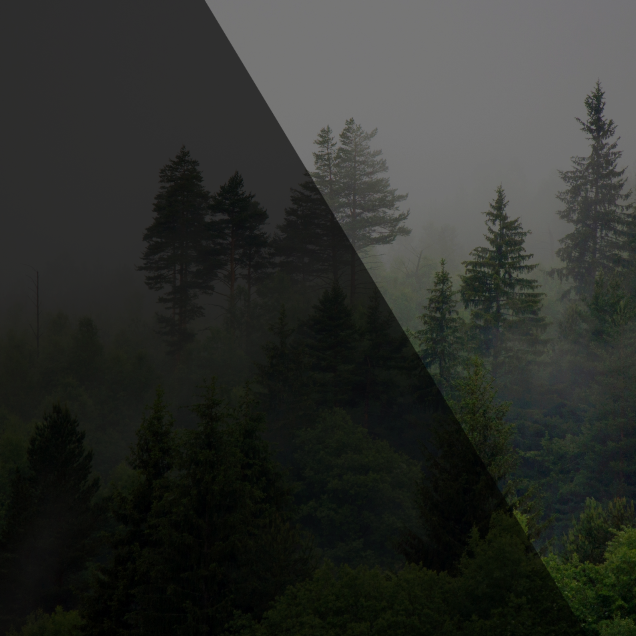 Blog-HEADER_template (93)