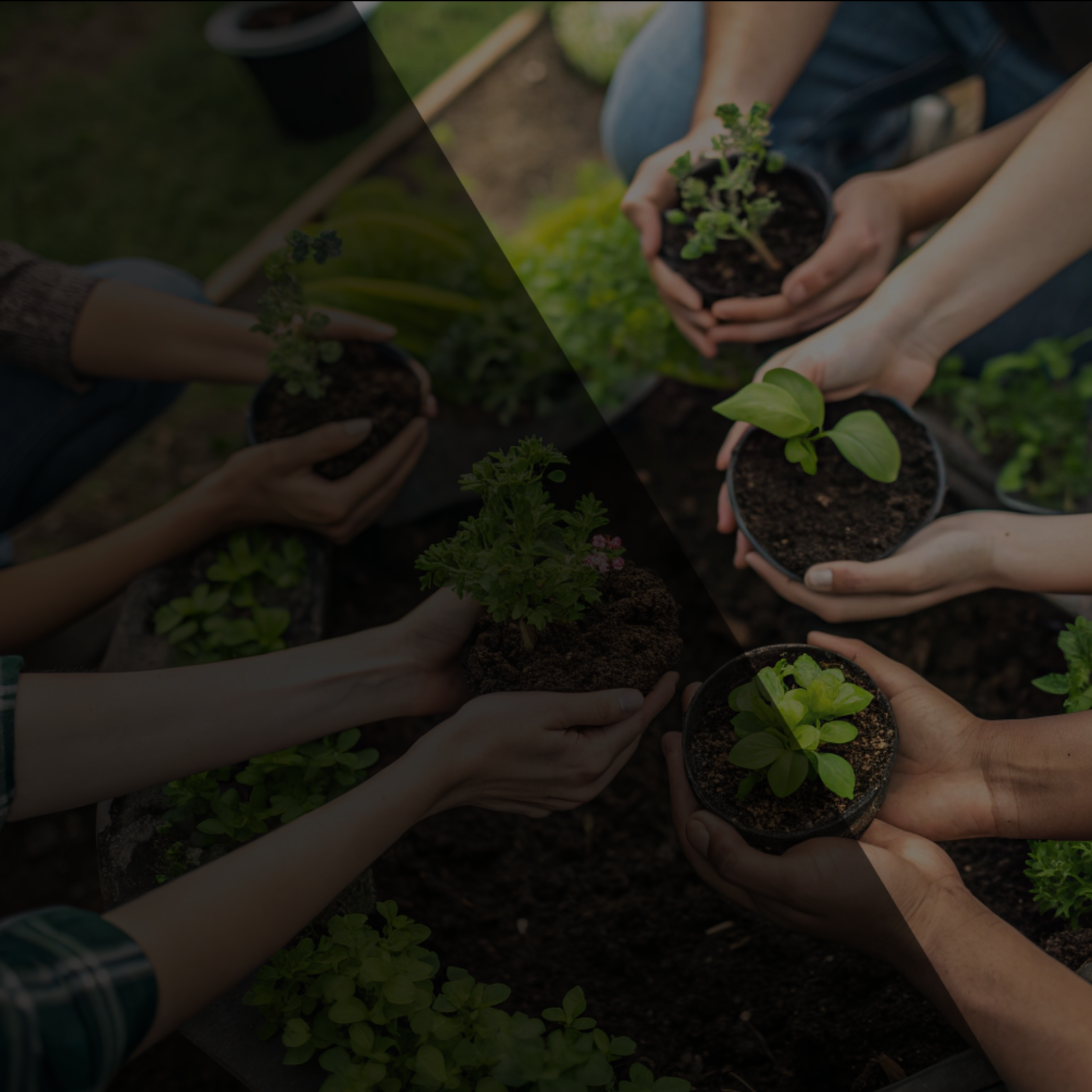 Blog-HEADER_template - 2026-07-09T144517.551