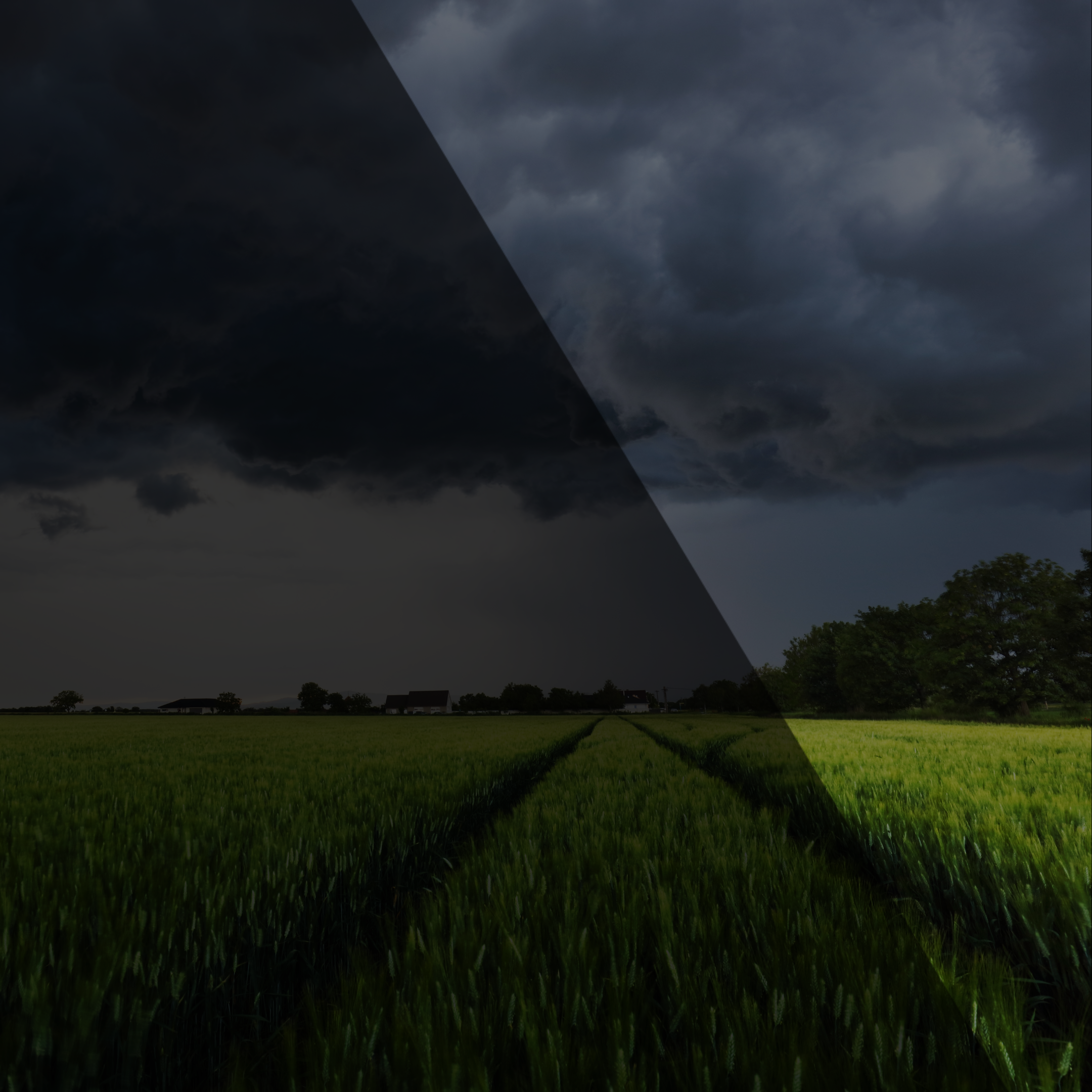Blog-HEADER_template - 2026-07-20T140011.804