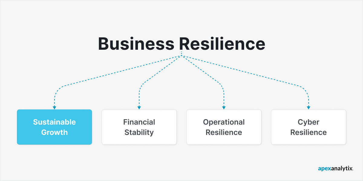Business Resilience Structure